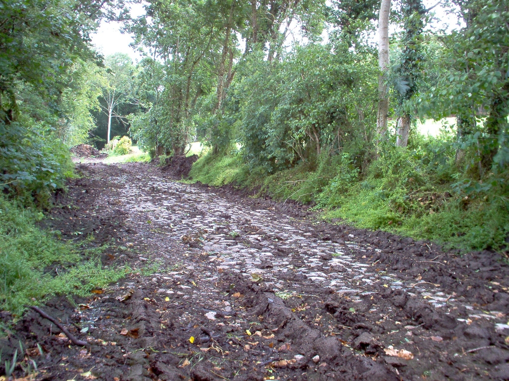20110000 LA PAVÉE Pont-Farcy 27-2.jpg - IM000292.JPG